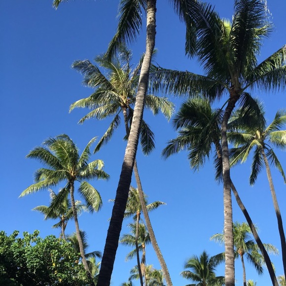 Meet your Posher, Cynthia - Picture 1 of 1